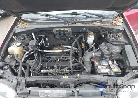 2006 Ford Escape Xlt from USA, damaged, VIN 1FMYU03Z96KB19370